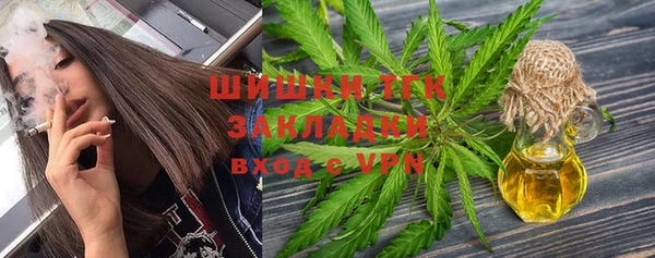 сатива Алексеевка