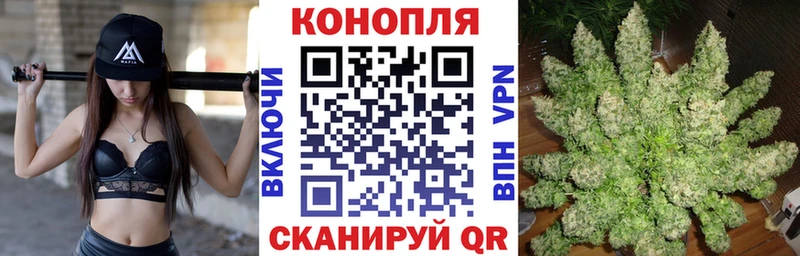 дарнет шоп  Котельнич  Канабис SATIVA & INDICA 